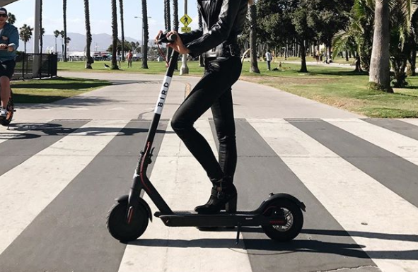 Bird and Lime-S Electric Scooters: the Latest Craze or Newest Hazard?